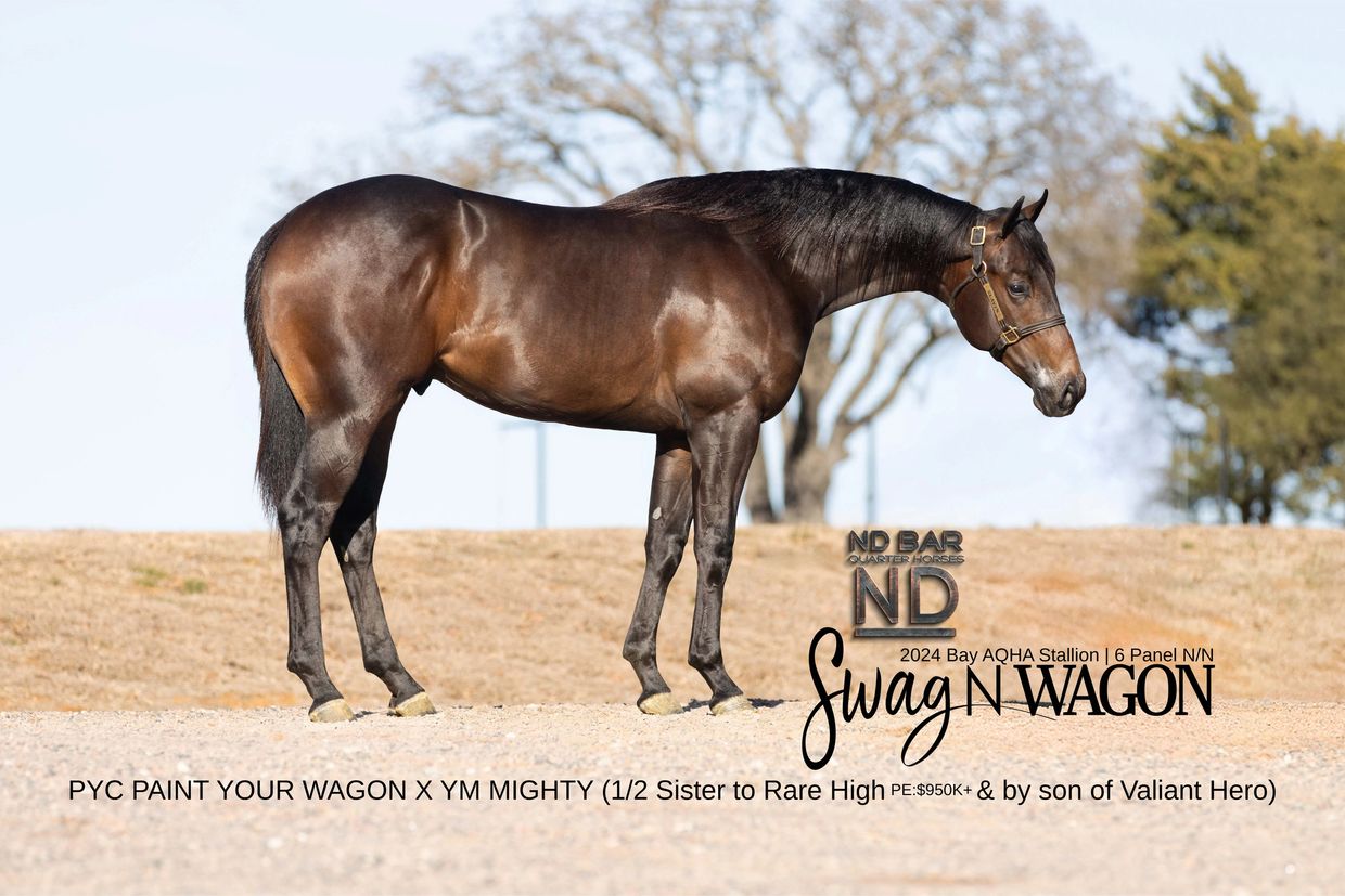 Swag N  Wagon, by PYC Paint Your Wagon