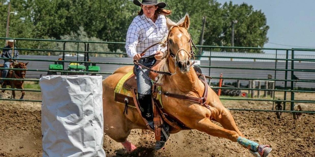 Pictured is full sister.  New pics coming this spring.