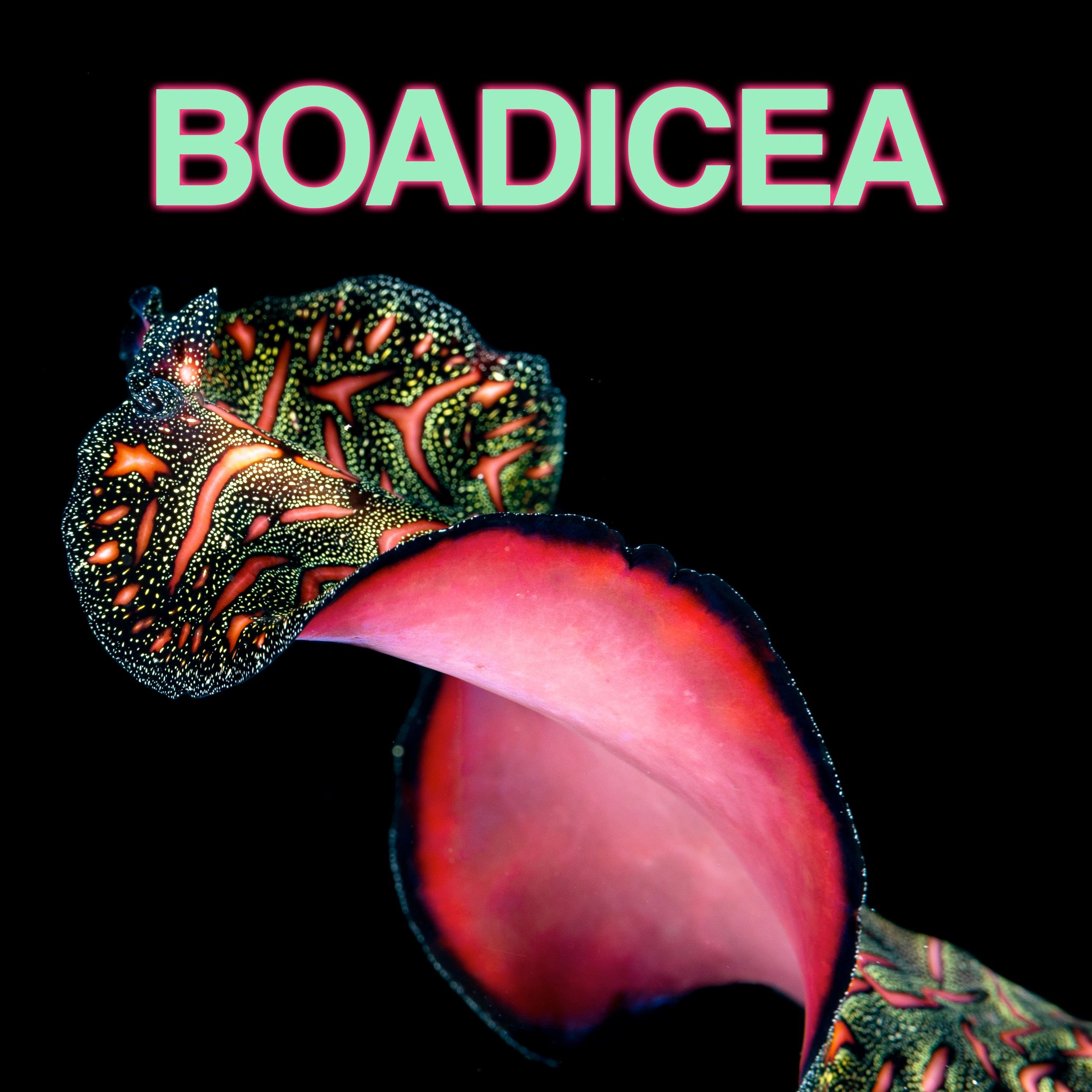 Swimming sea worm with bright pink underside and green spots with pink shapes on the topside