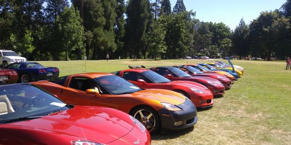 Lineup of sports cars on a grassy field.