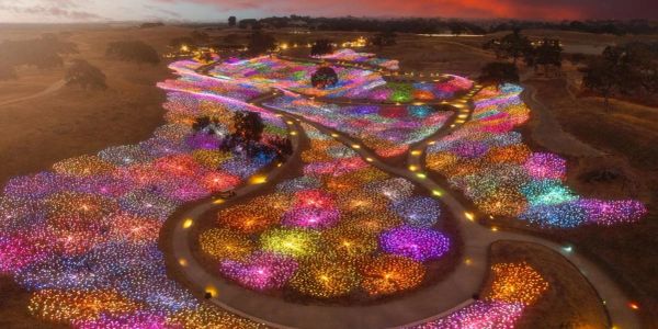 A colorful light garden at dusk.