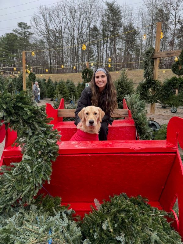 Woman with dog on red sleigh at Christmas tree farm.