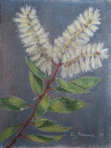 Painting of a blossoming branch with white flowers and green leaves.