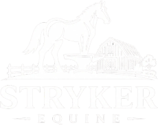 Stryker Equine
