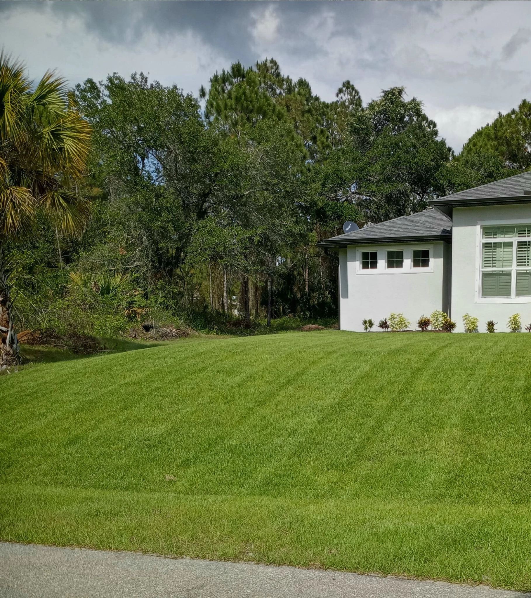 Beautifully maintained green lawn beside modern Florida home
