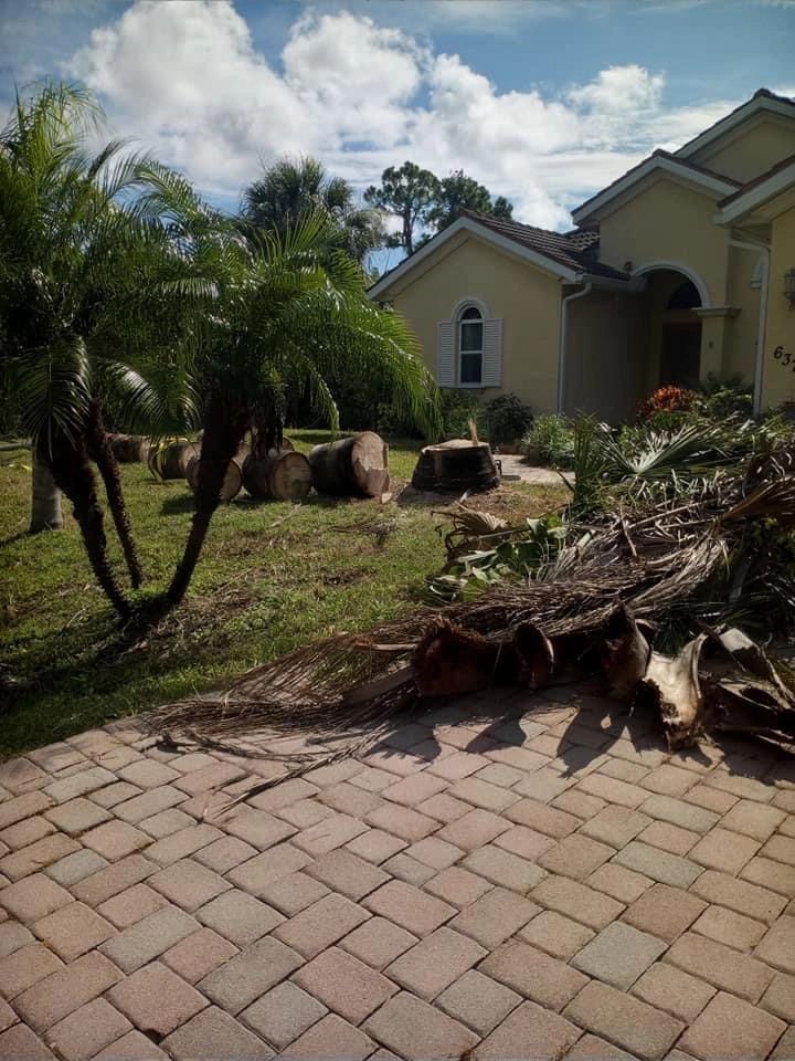 Property cleanup service Florida storm damage