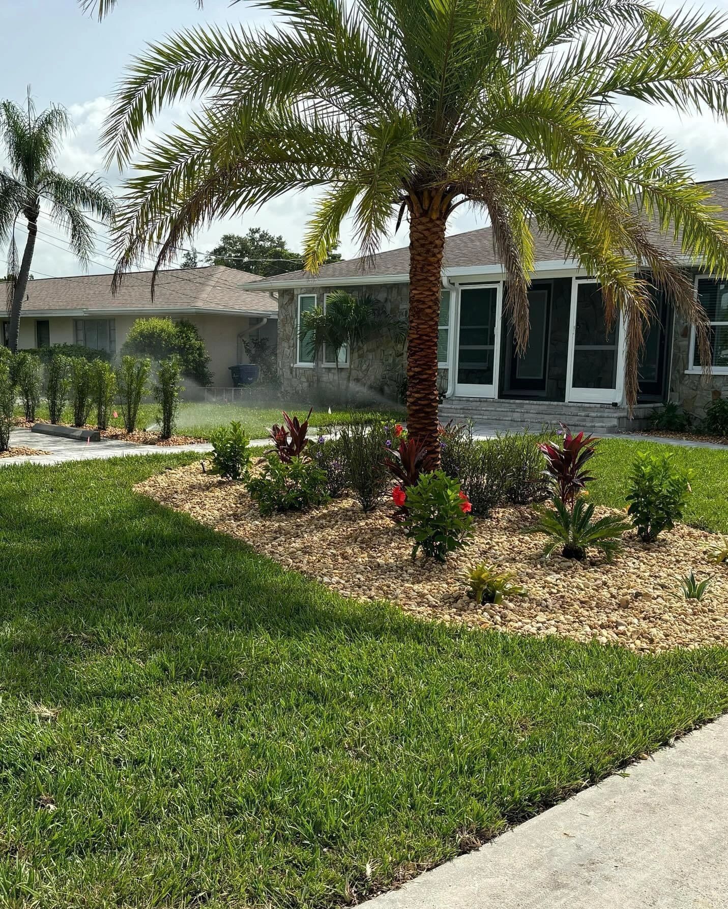 Professional landscaping with palm trees and lush greenery in Englewood FL