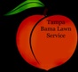 Tampa Bama Lawn Service