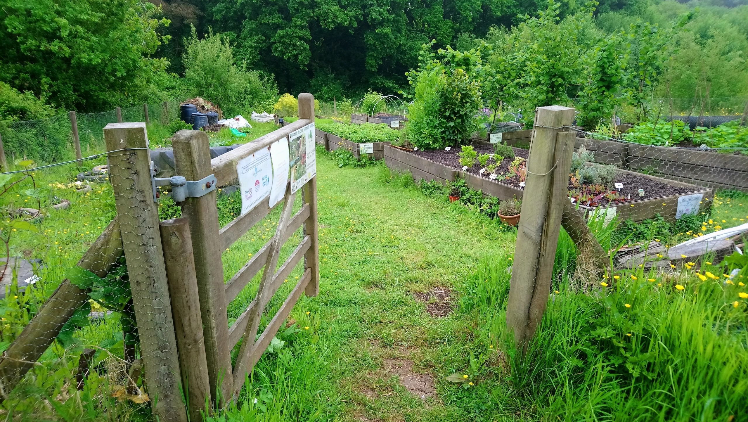 Exeter Community Garden Garden, Community, Garden