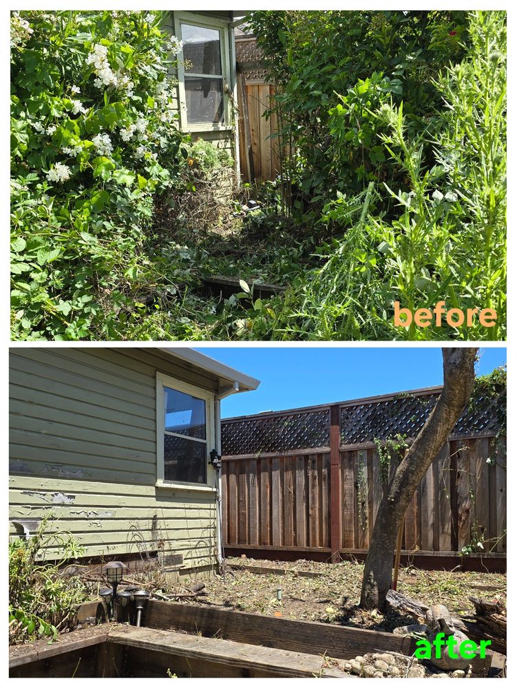 Before and after of defensible space work being done around structures