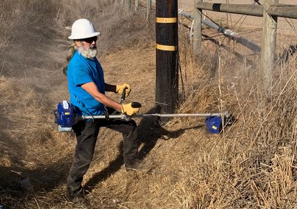 Dry weeds being cut from property line.  High weed cutting.