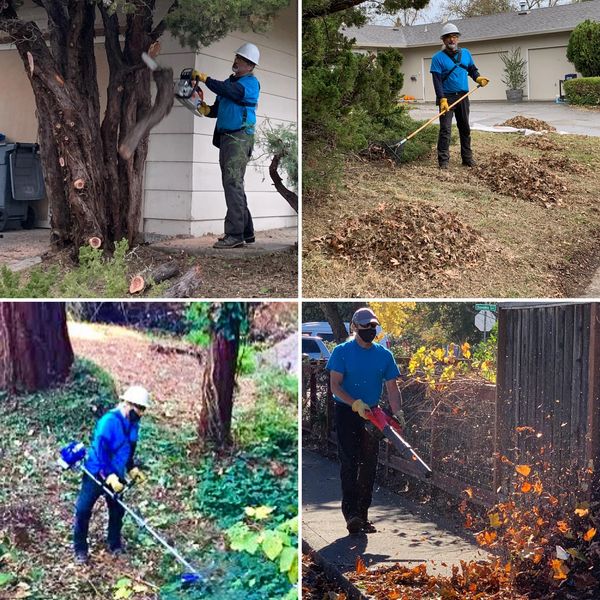 Different tasks incorporated in defensible space.