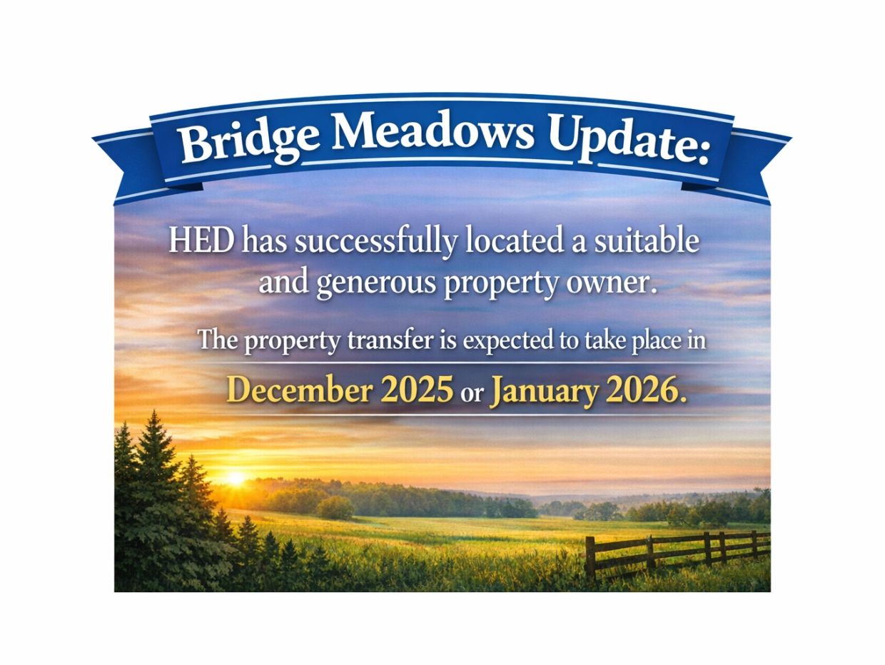 Bridge Meadows update on property transfer expected in December 2025 or January 2026.