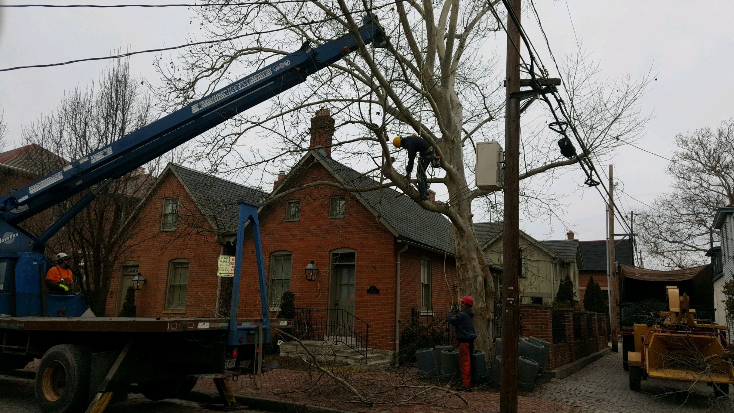 tree-service-tree-removal-the-1-tree-service-columbus-ohio