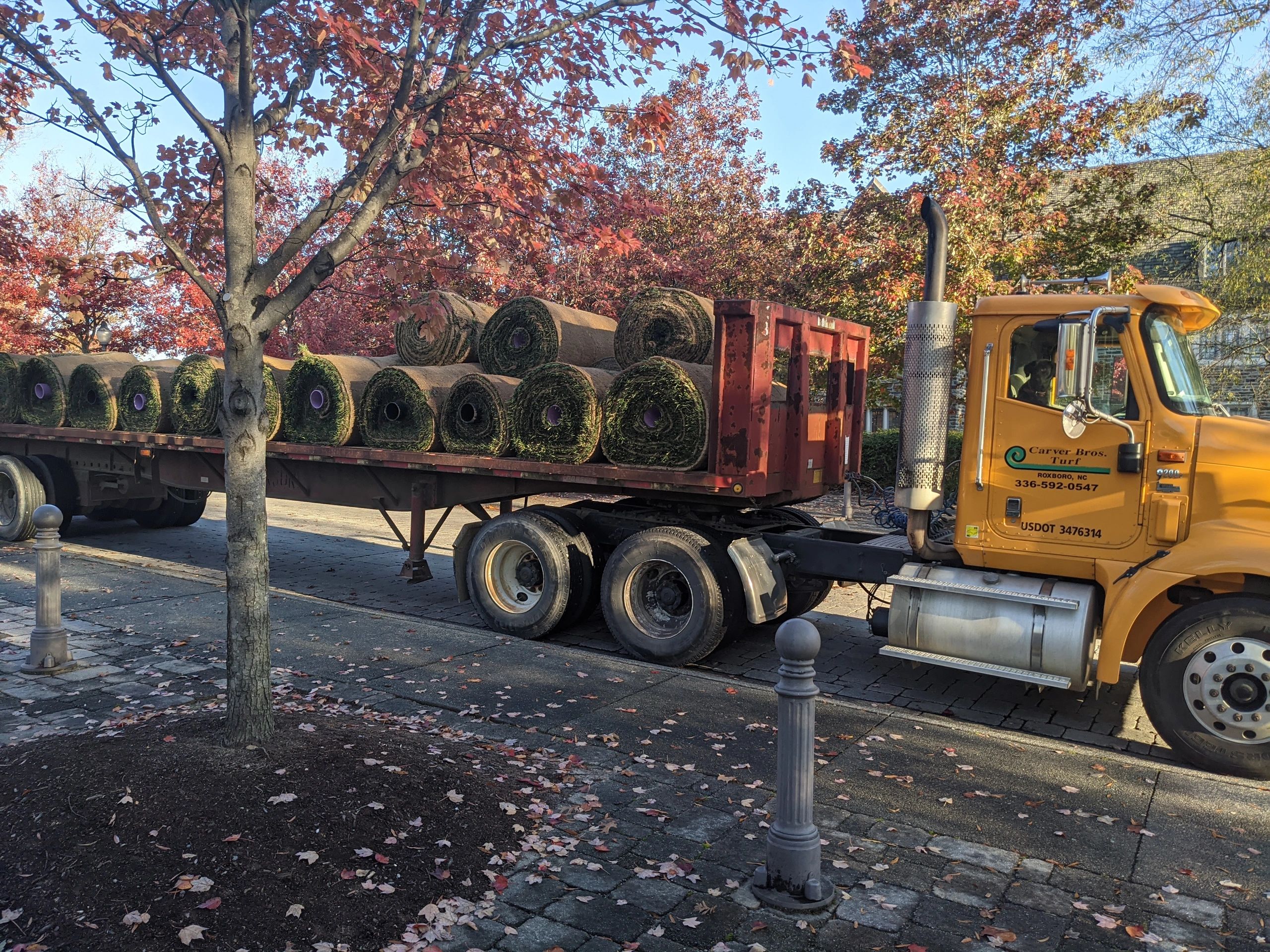 Big roll wholesale sod being installed at Krzyzewskiville on the Duke University Campus.