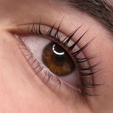 Lash Extensions Classic Lash Extensions Lash Education Lash Lift & Tint