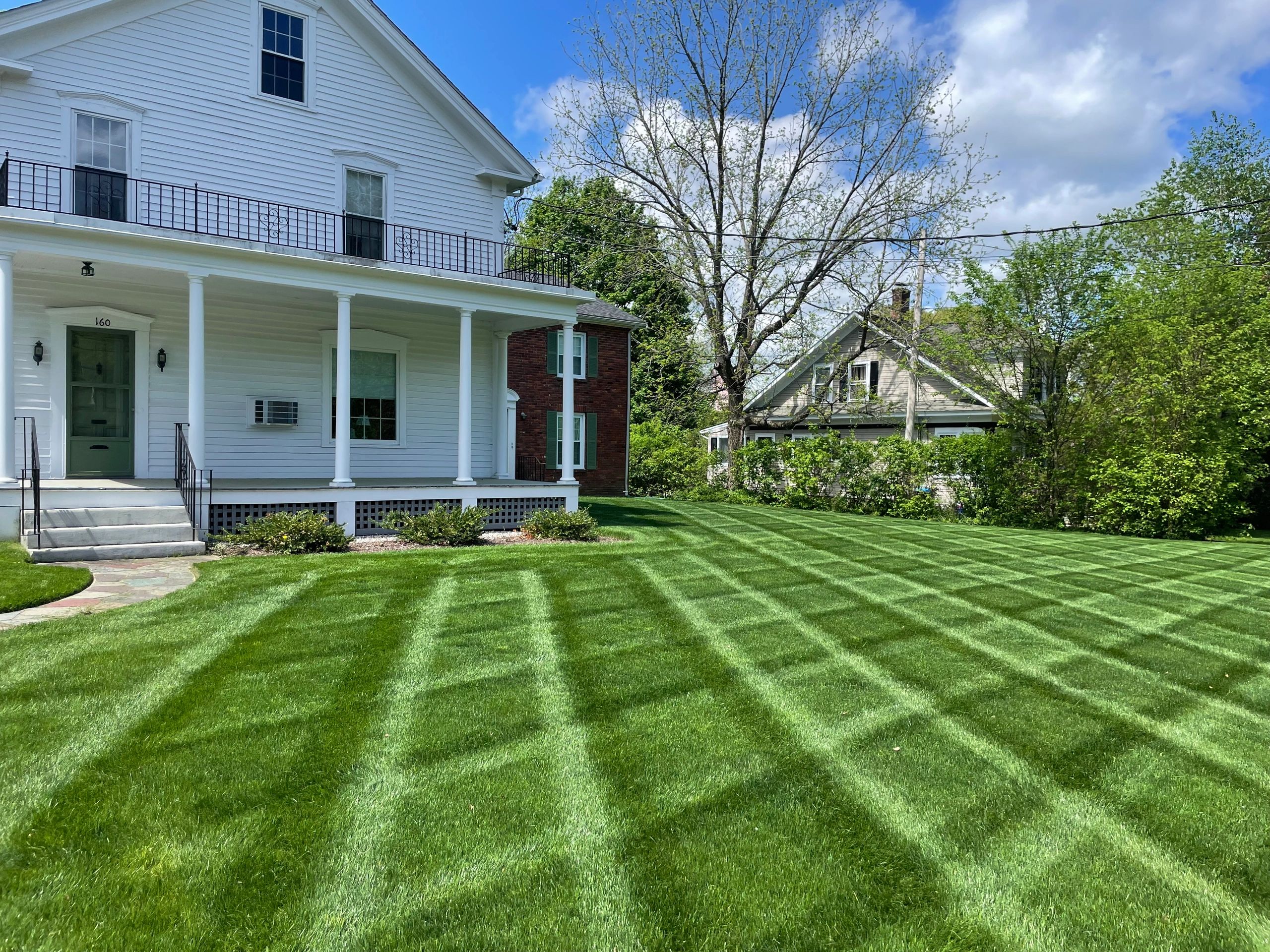 Expert Lawn Care Services You Can Trust