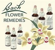 Bach flower remedies bottles with orchid flowers.