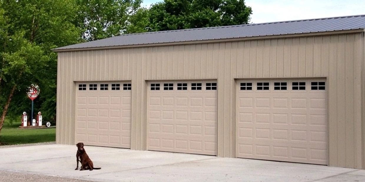Chocolate lab in front of metal building