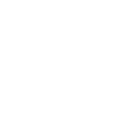 Doggy Plus