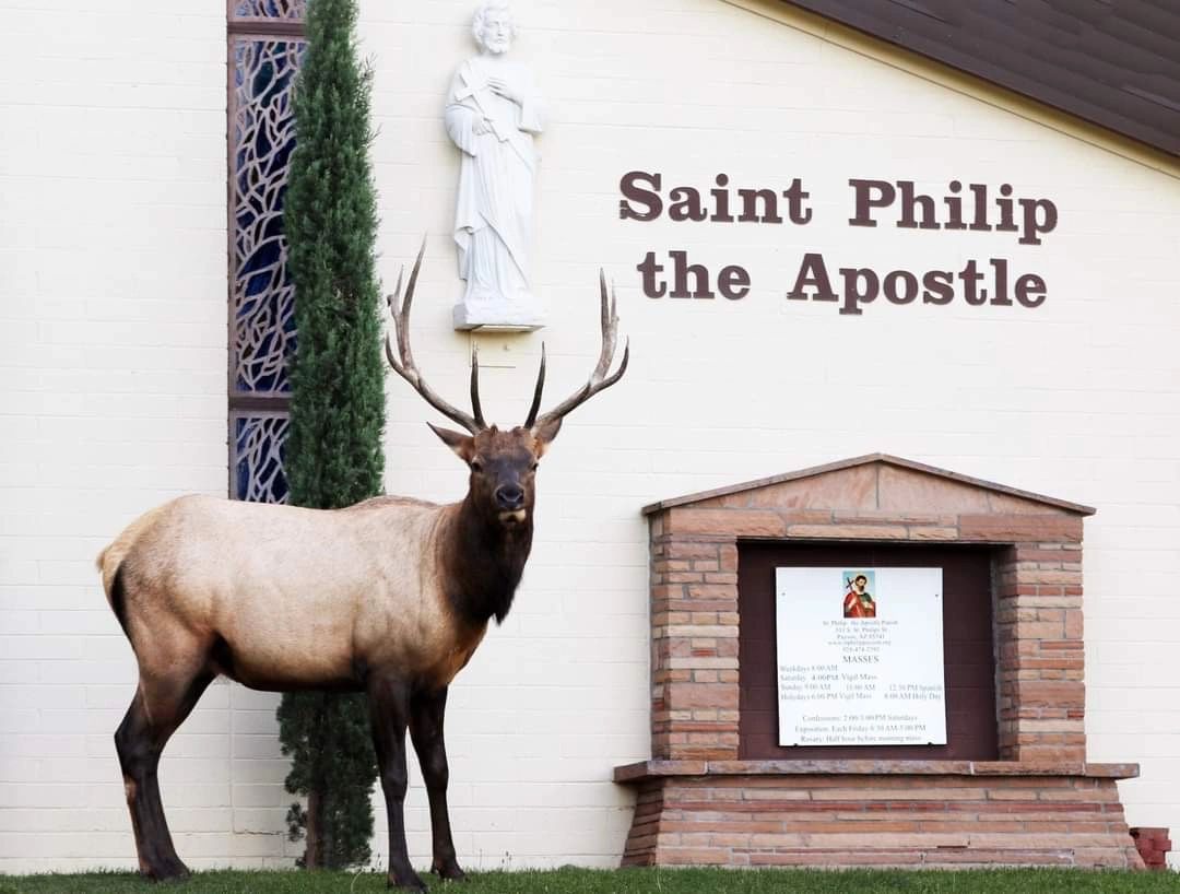 Church, Catholic St. Philip the Apostle Parish Payson, Arizona
