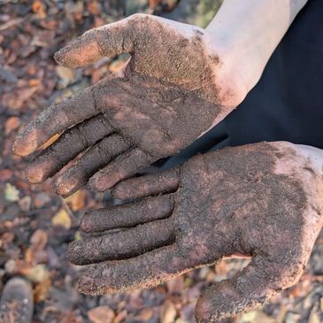 Hands covered in wet mud, palms facing up.