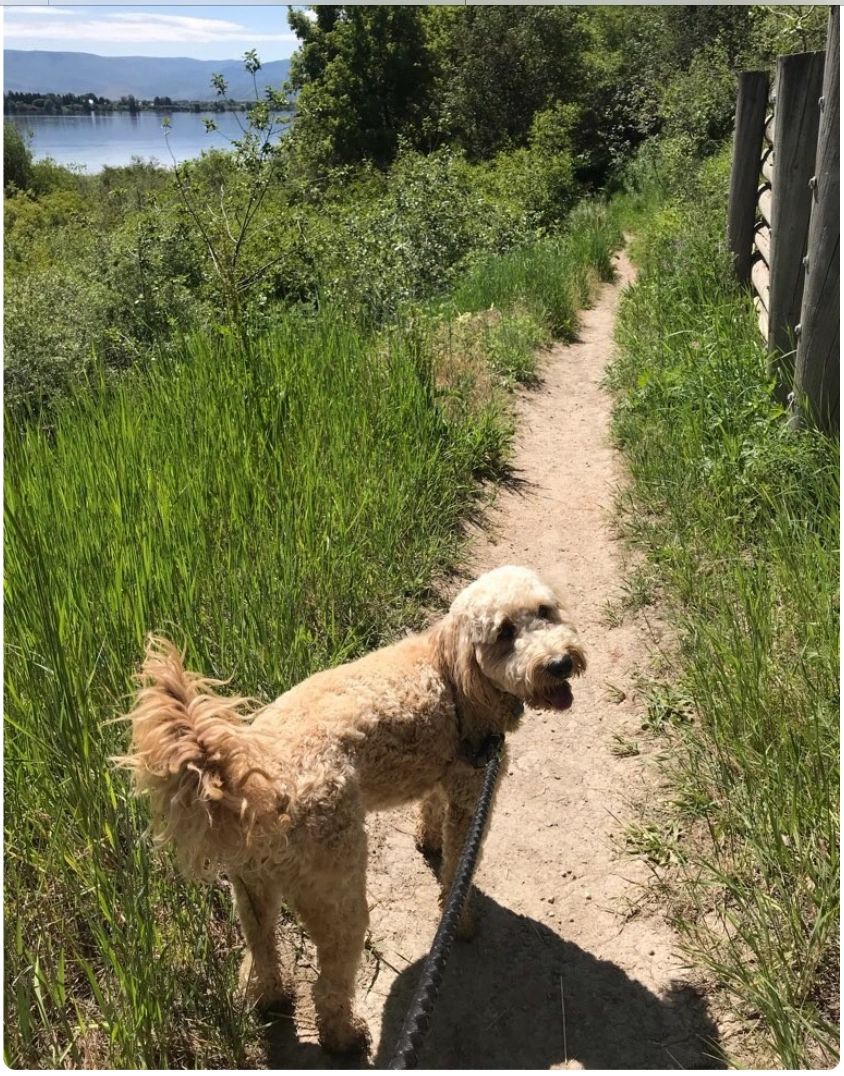Summer hikes are only done in the morning before it gets hot out.  
