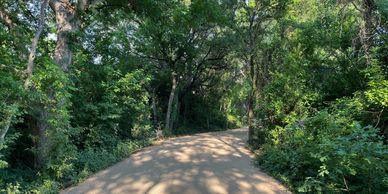 Lady bird lake trail in Austin