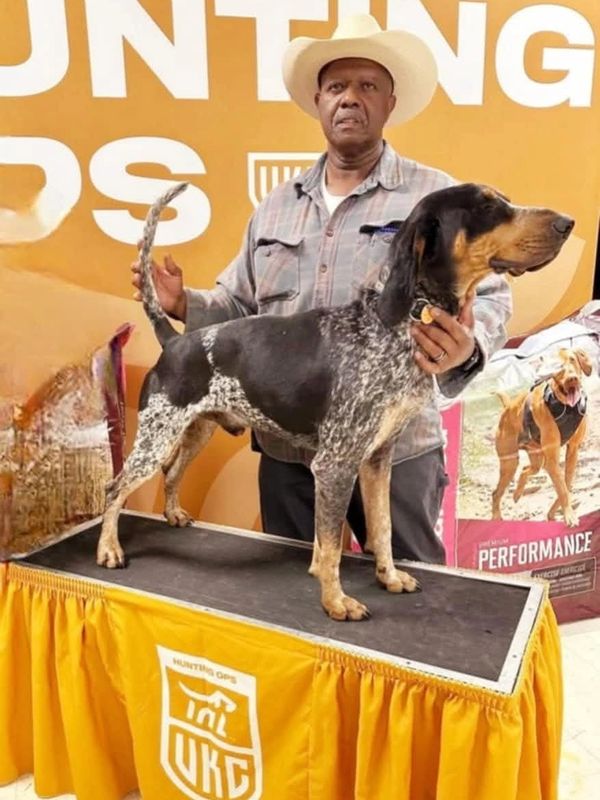 Man presenting a black and white hunting dog on a platform at a hunting event.