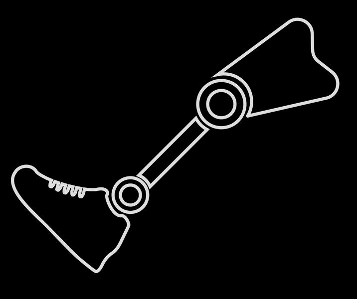 Tampa Bay Orthopaedic Designs