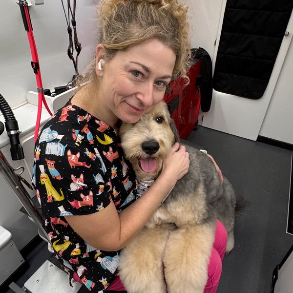 Meet the groomer 