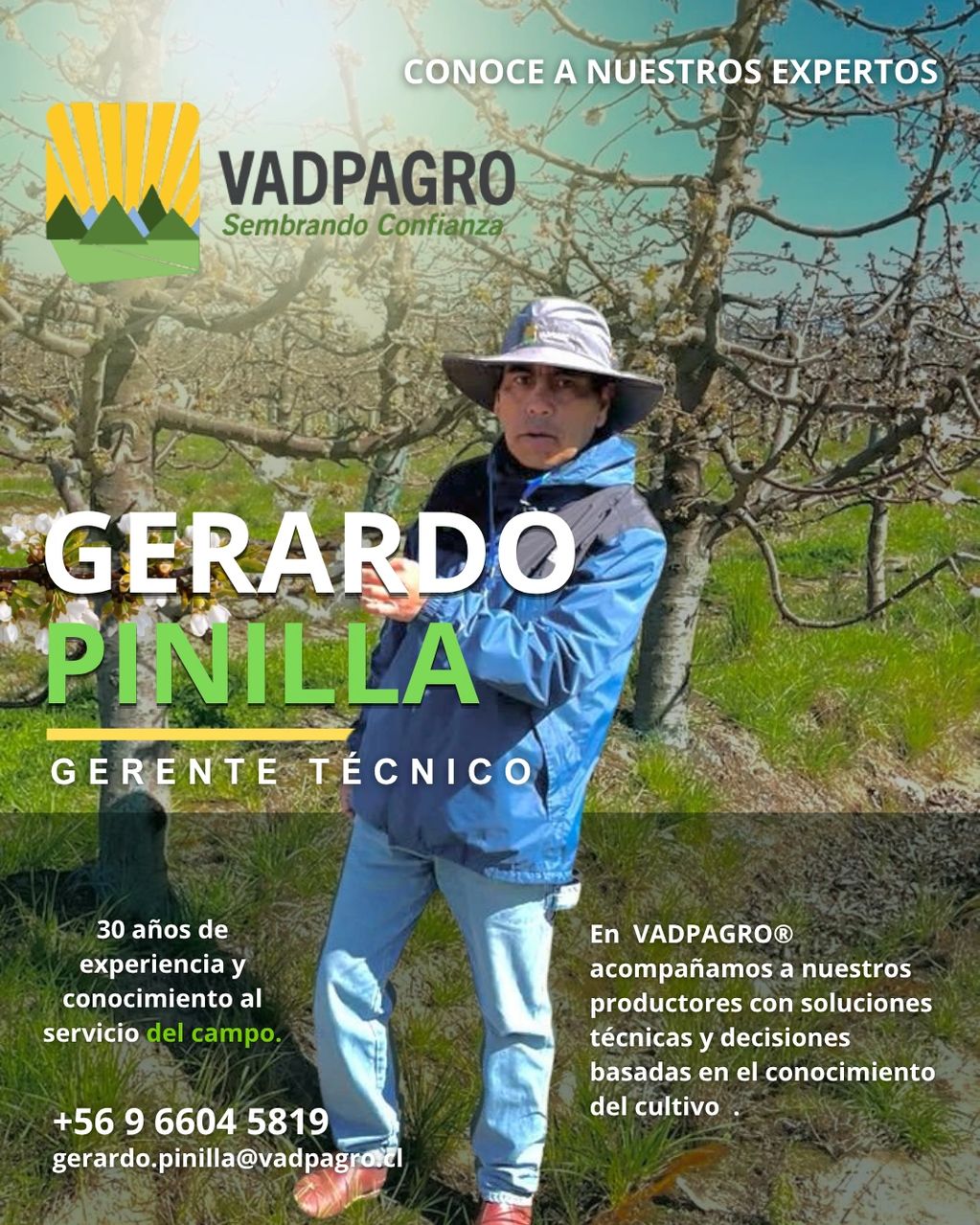 CONOCE A NUESTROS EXPERTOS
