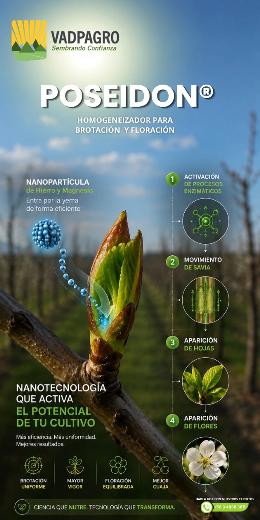 La nanotecnología que impulsa una brotación más uniforme