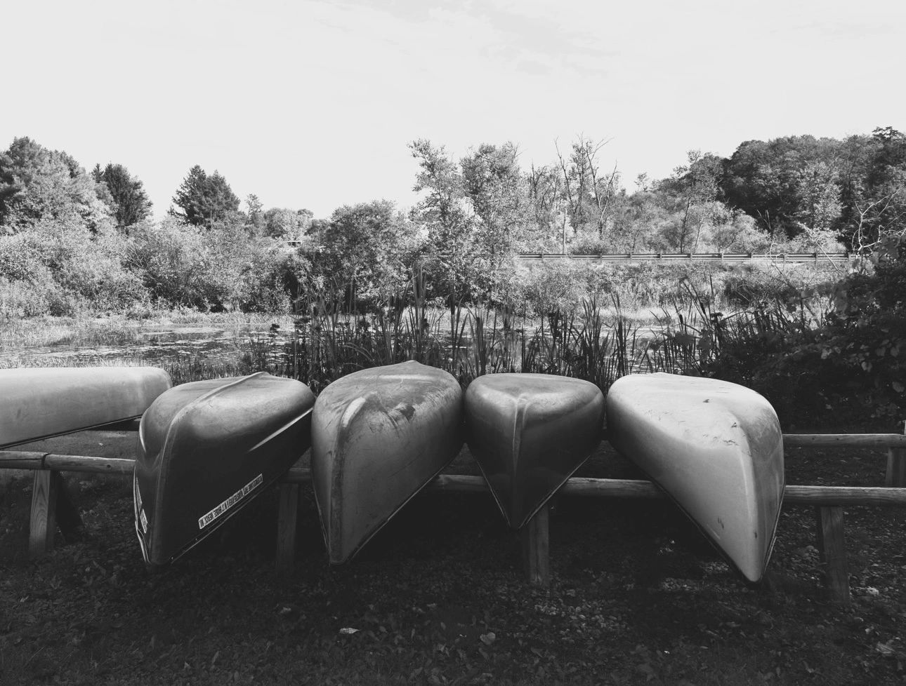 Wilderness Canoe Trips photo 1