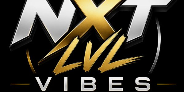 Stylish logo with 'NXT LVL VIBES' in metallic silver and gold on black.