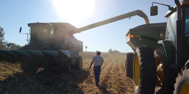 crop harvest marshall farms fenner