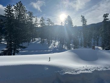 Winter landscape with snow-covered ground and sun shining through trees.