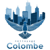 Nettoyage Colombe