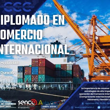 Diplomados y Posgrados. 