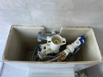 Inside view of a toilet tank showing internal flushing mechanisms.