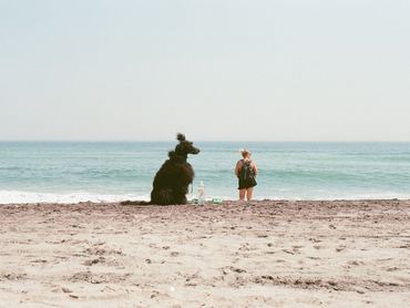 Black poodle on the beach in profile next to woman