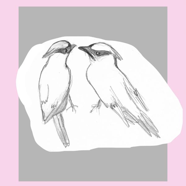 Cover of a poetry book titled 'The Lovesongs of Birds' with a pencil sketch of two birds.