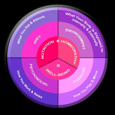 Synergy Deep System healing diagram  PDF for Life Force Nourished LLC Edison NJ