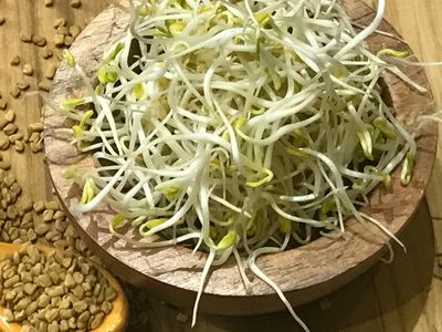 Power Packed Sprouted Fenugreek Seeds recipe Life Force Nourished Functional Nutritionist Edison, NJ