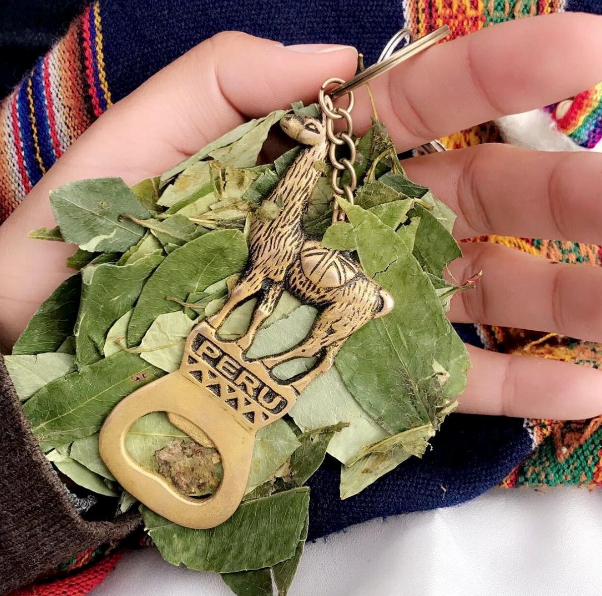 Peruvian Coca Leaves La Hoja de Coca No es Droga