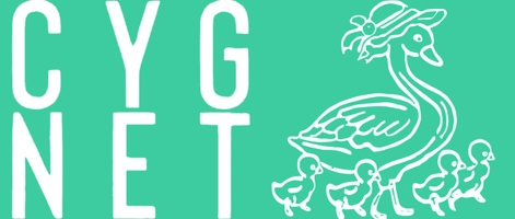 Cygnet Consultants