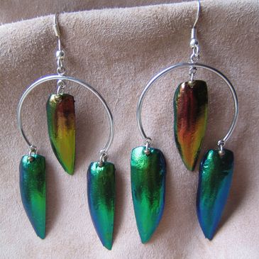 Earrings emerald-copper beetle wing silver half moon