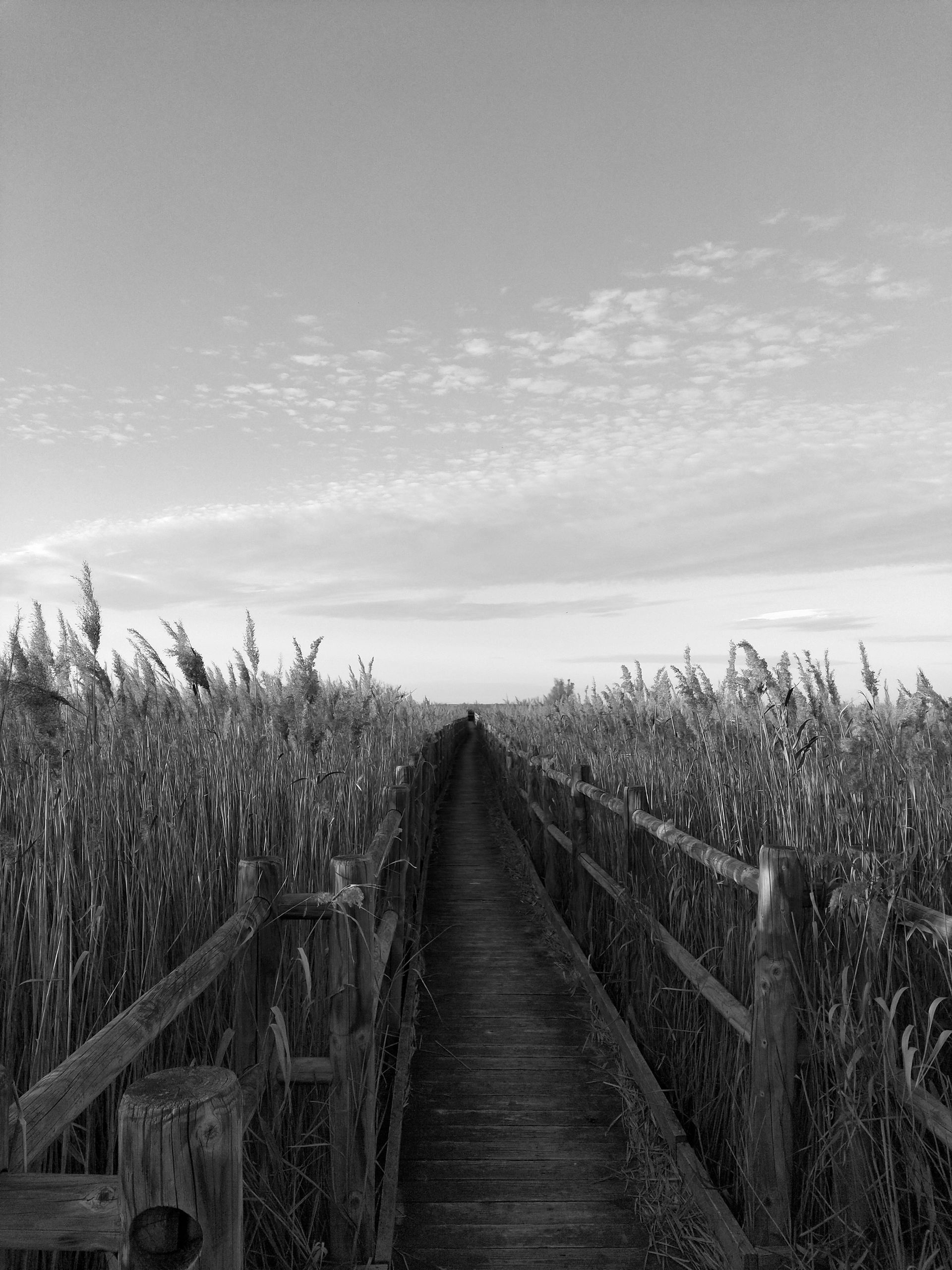 image73