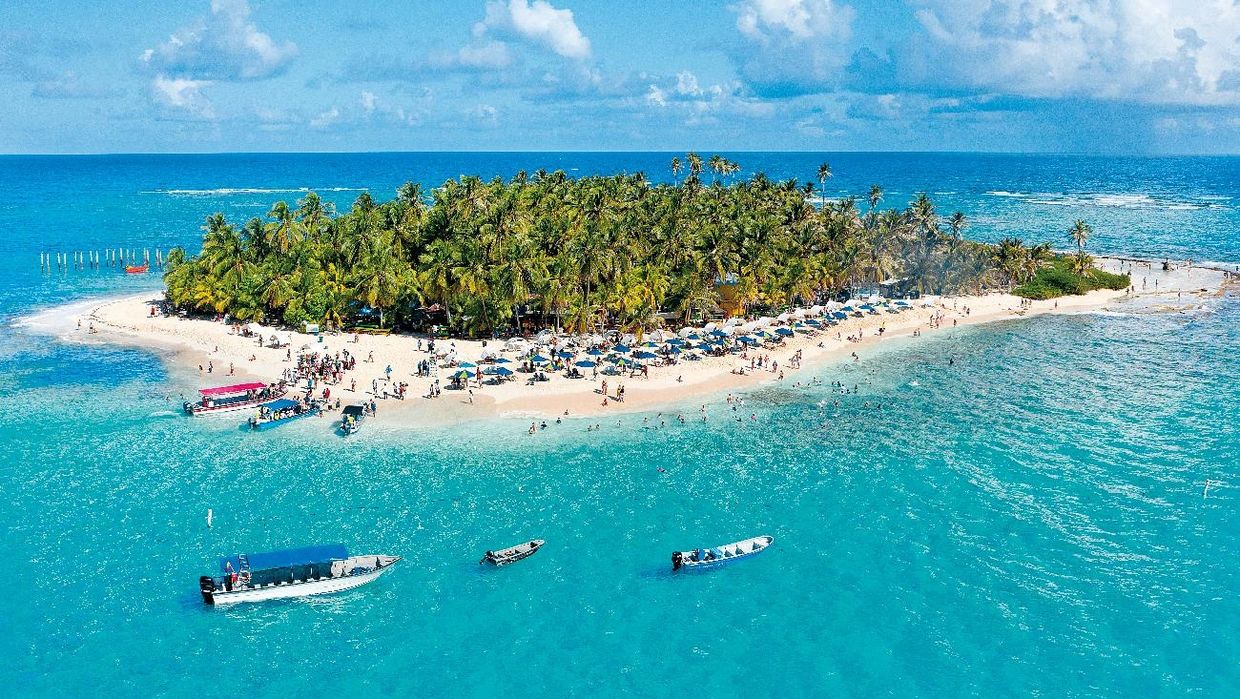Isla tropical con muchas palmeras y turistas.