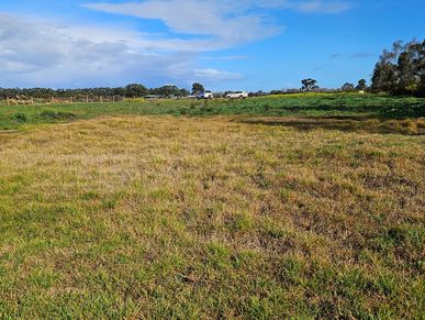 A grassy field under a blue sky with clouds.